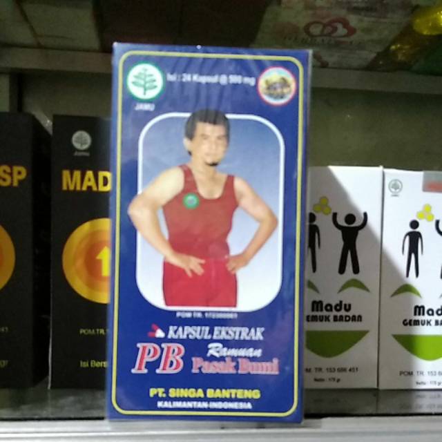 Kapsul ekstrak pasak bumi