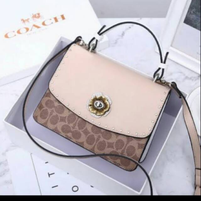 Tas coach new arrival