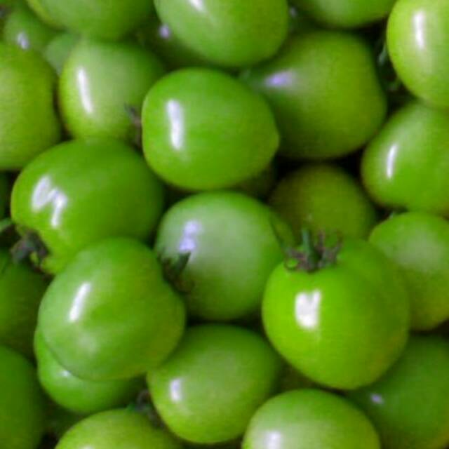 

Tomat Hijau 250gram