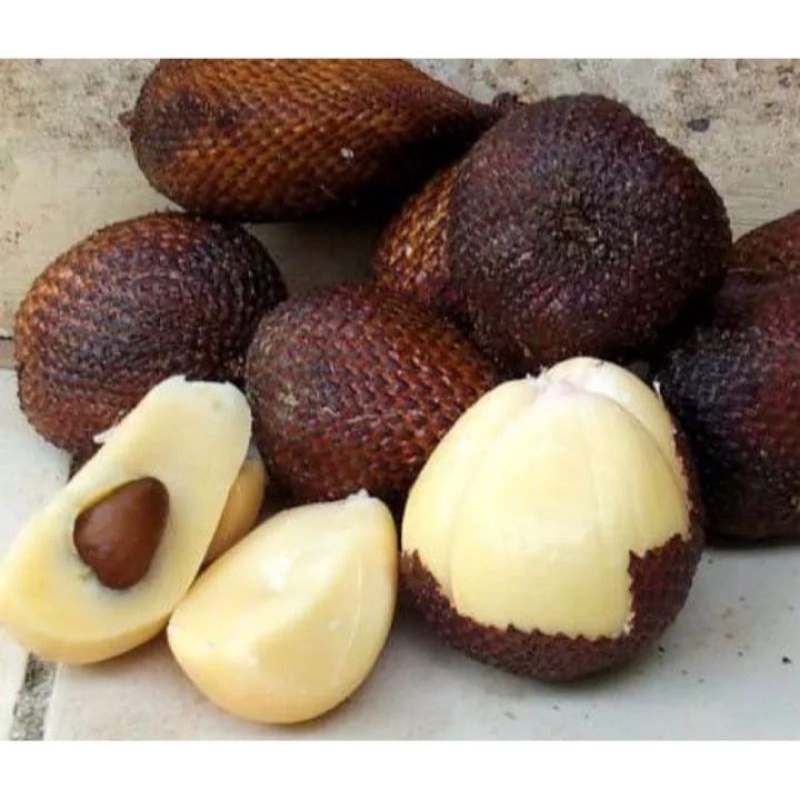

Salak Pondoh