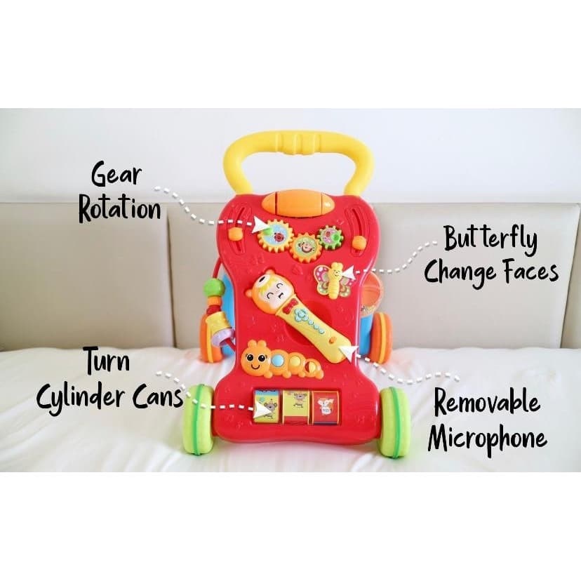 Bebe Smart Sing Along Walker
