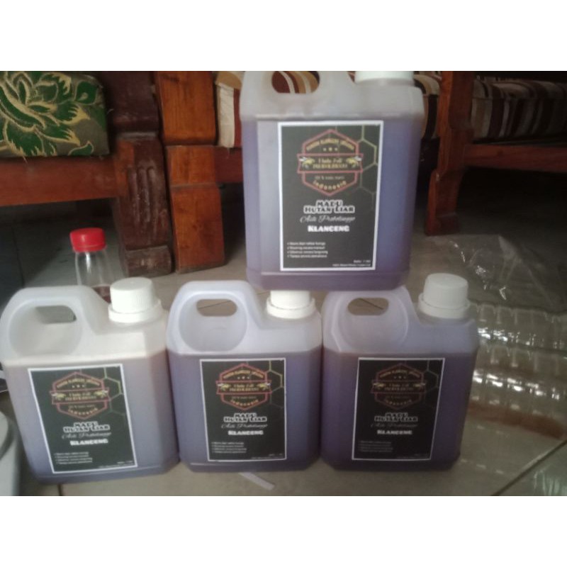 

MADU KLANCENG / KELULUT TRIGONA jenis Levicep
