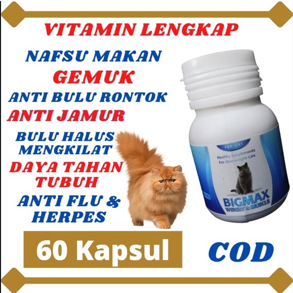 VITAMIN KUCING NAFSU MAKAN KUCING PENGGEMUK KUCING VITAMIN BULU KUCING RONTOK ANTIBODY VITAMIN KUCING BIAR GEMUK VITAMIN NAFSU MAKAN KUCING BULU RONTOK OBAT KUCING VITAMIN KITTEN VITAMIN KUCING GEMUK