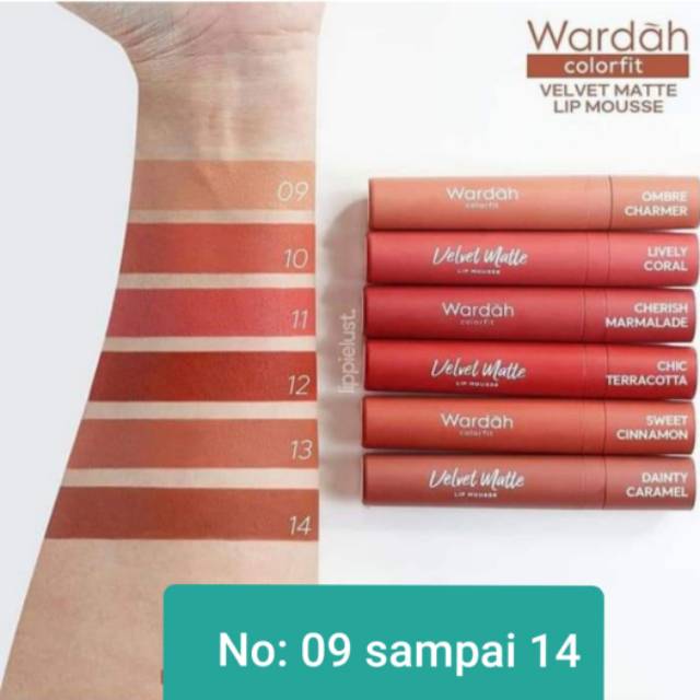 Wardah Colorfit Velvet Matte Lip mousse 09-14