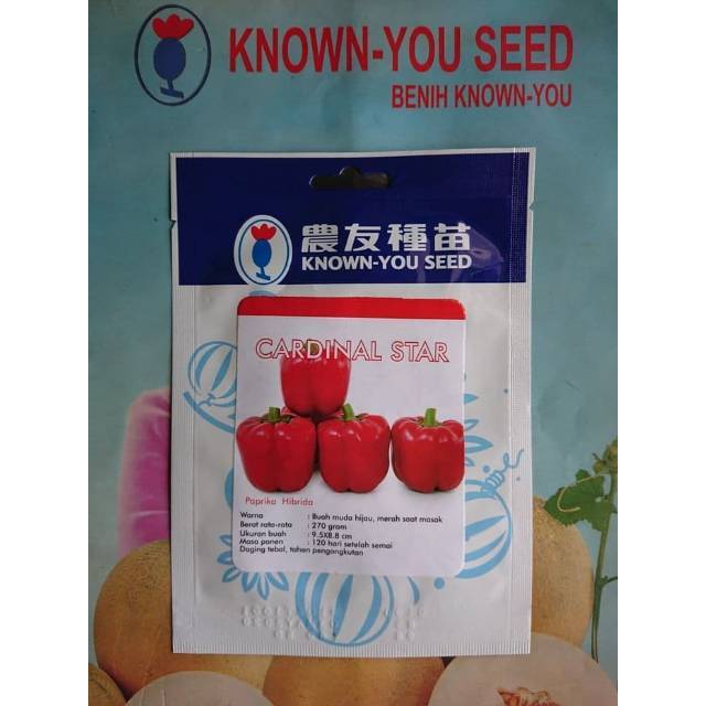 PROMO Benih Biji Paprika Merah CARDINAL STAR F1 100bj