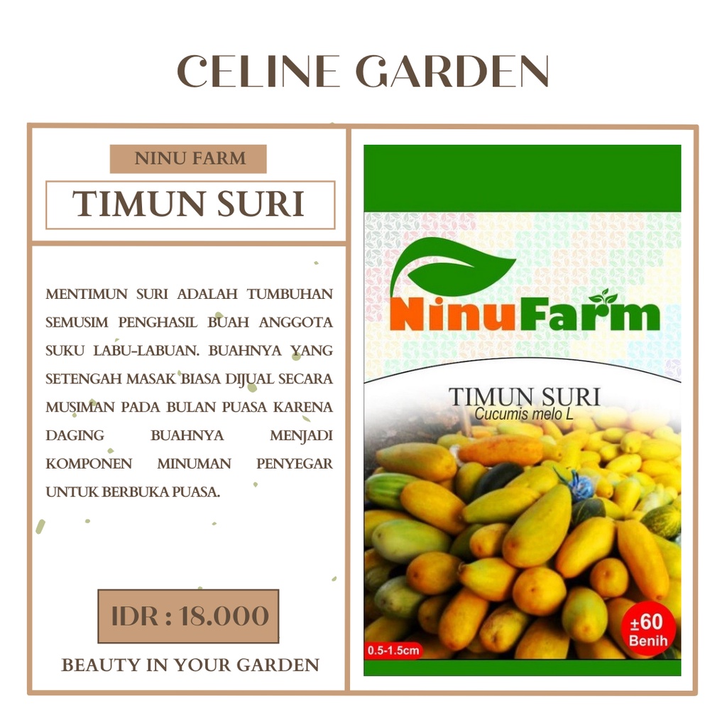 BIBIT TIMUN SURI / TIMUN SURI / NINUFARM / KEMASAN ASLI PABRIK