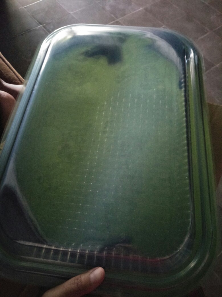 Mika Nampan Besar Nampan Plastik