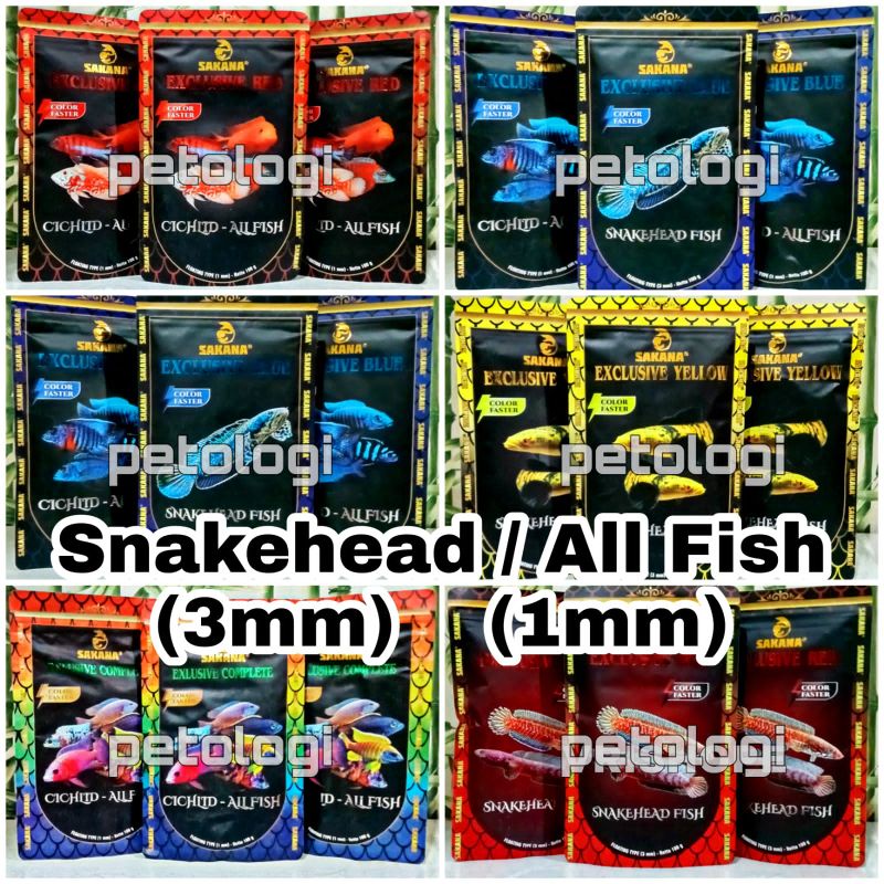 Sakana Exclusive Complete Blue Red Yellow Snakehead Fish Cichlid All Fish Pelet Ikan Channa