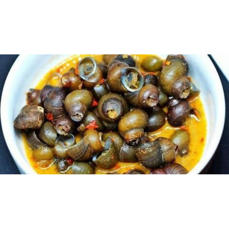 

Tutut bumbu kuning (matang) 1 kg