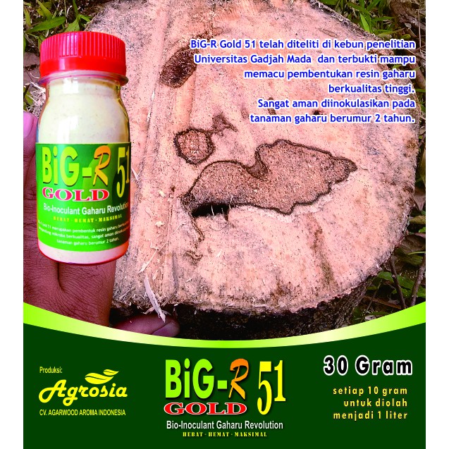 BiG-R Gold 30 gram - Serum Organik Gubal Gaharu Super
