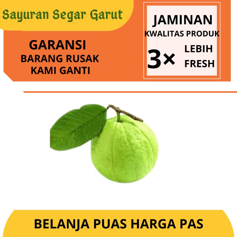 

Buah Jambu Batu Segar 1kg by Sayuran Segar Garut