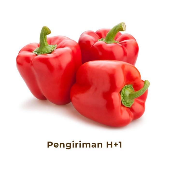 

Paprika Merah Segar