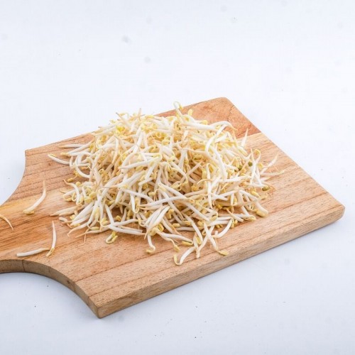 

KECAMBAH / TAUGE / CAMBAH SAYUR 500GR / SAYURAN FRESH 500 gr