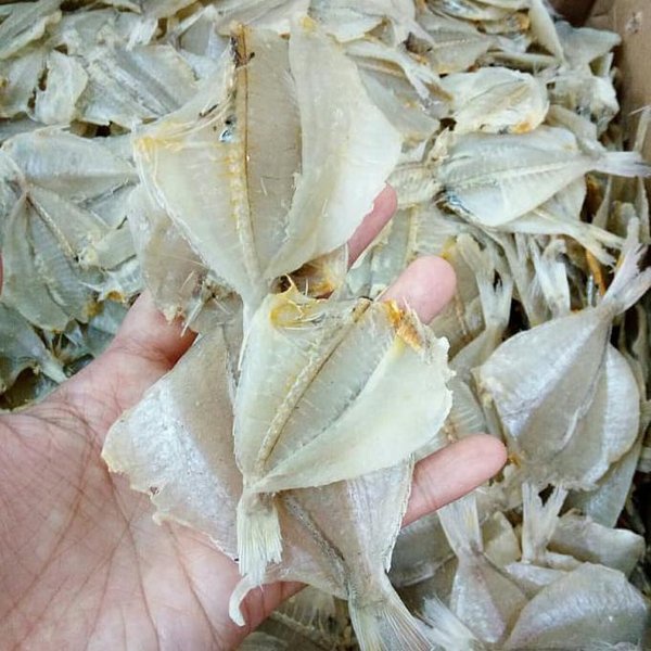 

Ikan Asin Kapasan - Gerai Sayur Segar Depok