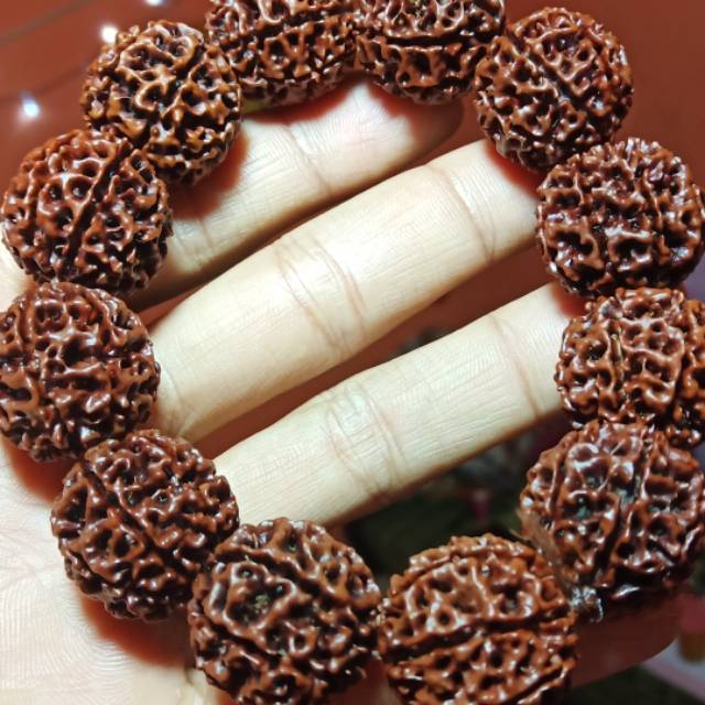 Rudraksha jenitri mukhi 7