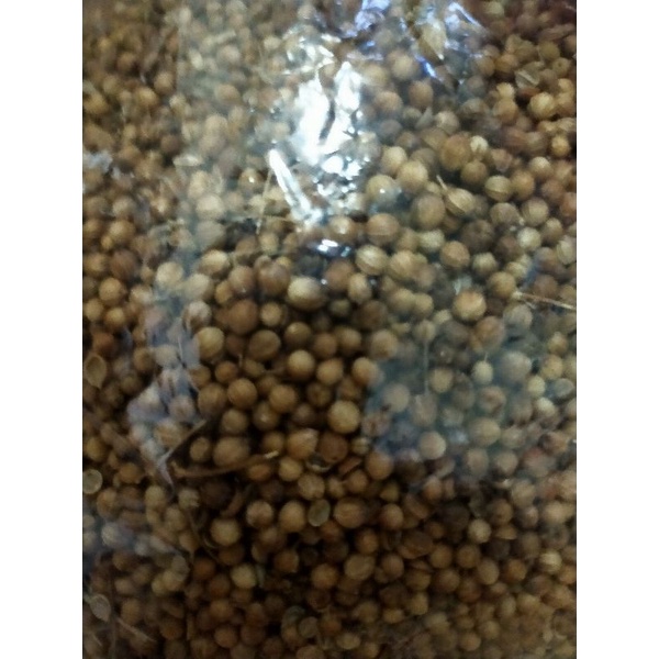 

biji ketumbar Hitam Asli dan kering 250 gr