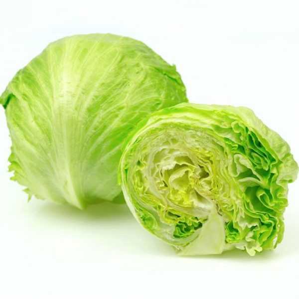 LETTUCE HEAD SAYUR SAYURAN ONLINE SURABAYA