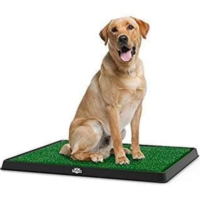 Ukuran Terbesar Pet potty pet park deluxe dog training potty pad