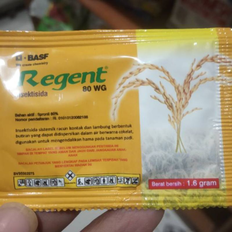 REGENT 80wg 1,6gr