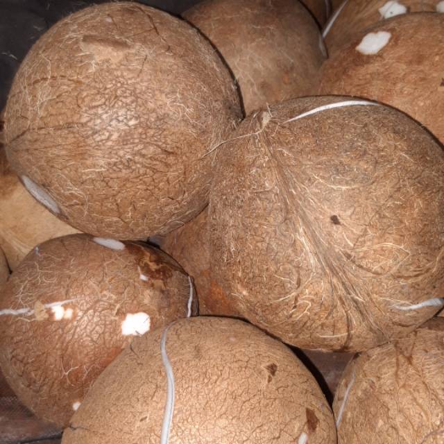 

KELAPA
