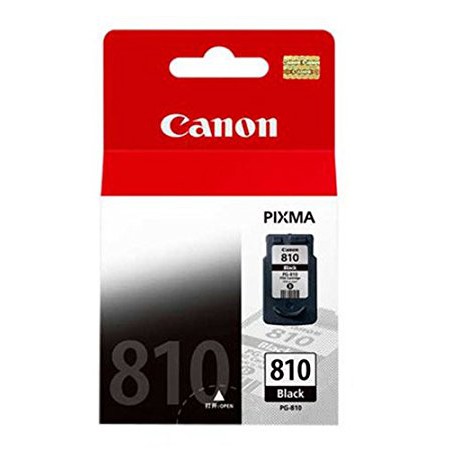 Canon Original Ink Cartridge PG-810 Black