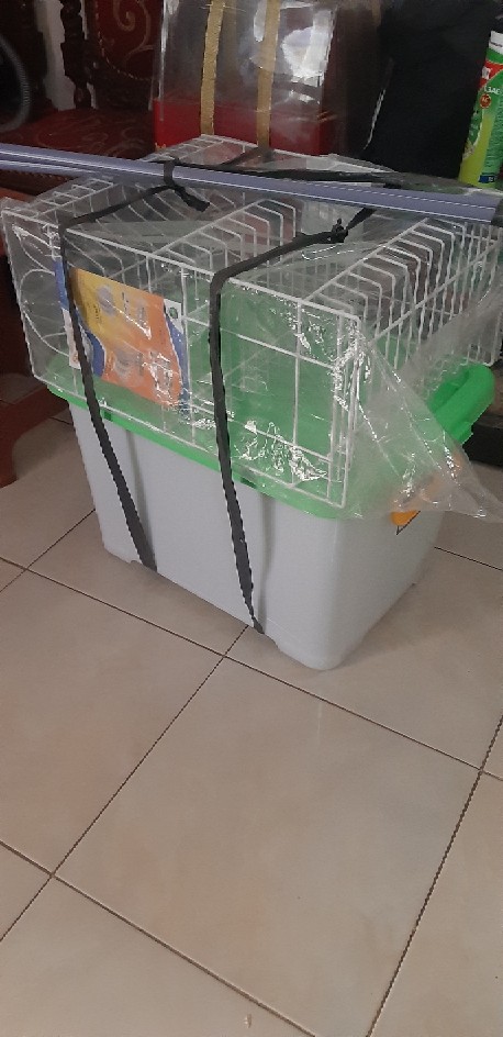 Pisau Pemotong Potong Pengiris Acar Kentang Timun Wortel Gerigi Gelombang