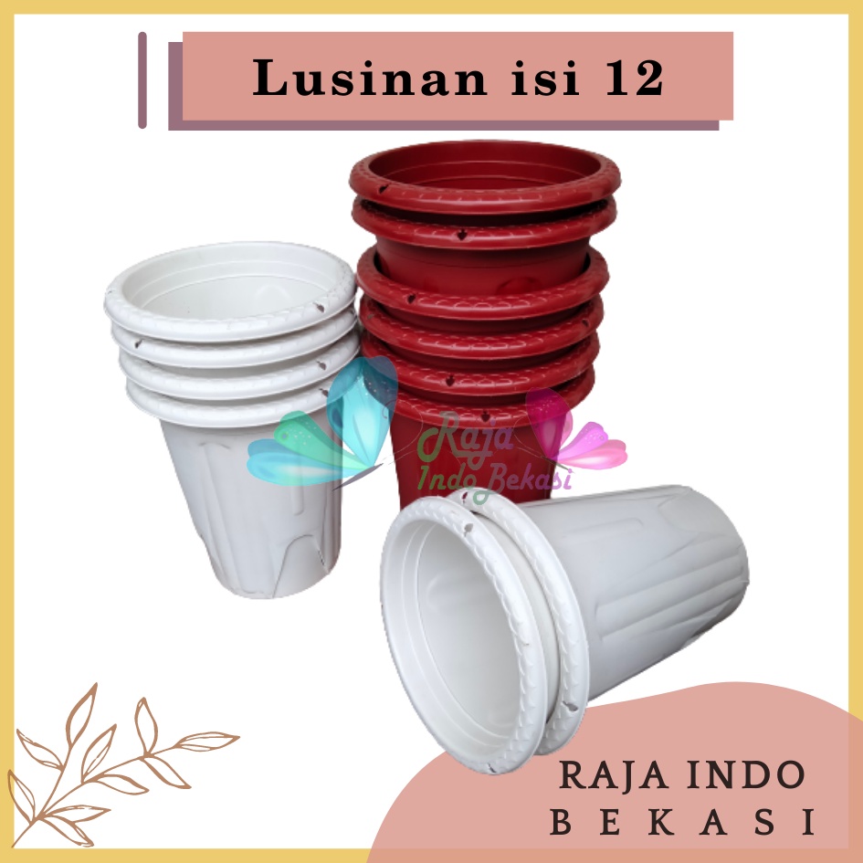 Rajaindobekasi Lusinan 12pcs Pot Golden Erna 20 Putih Bening Transparan Hitam Merah Bata Merah Coklat Terracota Terracotta Mirip Lusinan Pot Yogap 18 19 25 Murah Putih Coklat Merah Bata Bening Transparan Murah Pot Bunga Tinggi Pirus Tegak Bagus Tebal