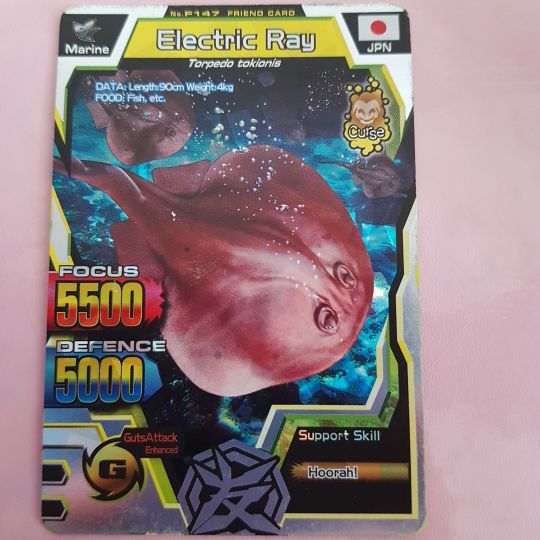 Animal Kaiser Friend Card Electric Ray (Kartu)