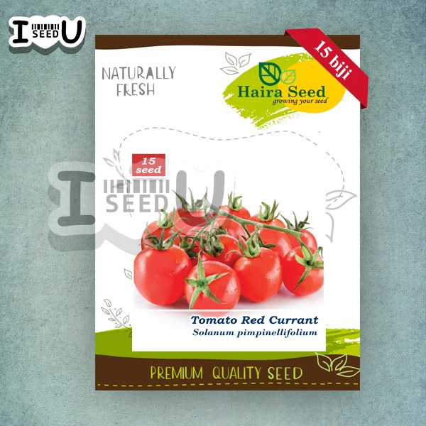 Haira Seed Bibit-Biji Tomat Cherry Red Currant