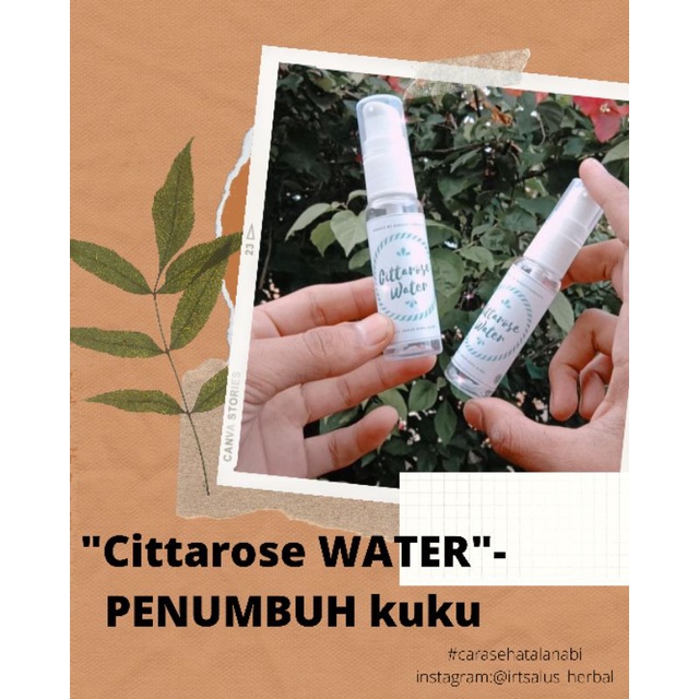 PENUMBUH KUKU DAN PENGHILANG JAMUR KUKU