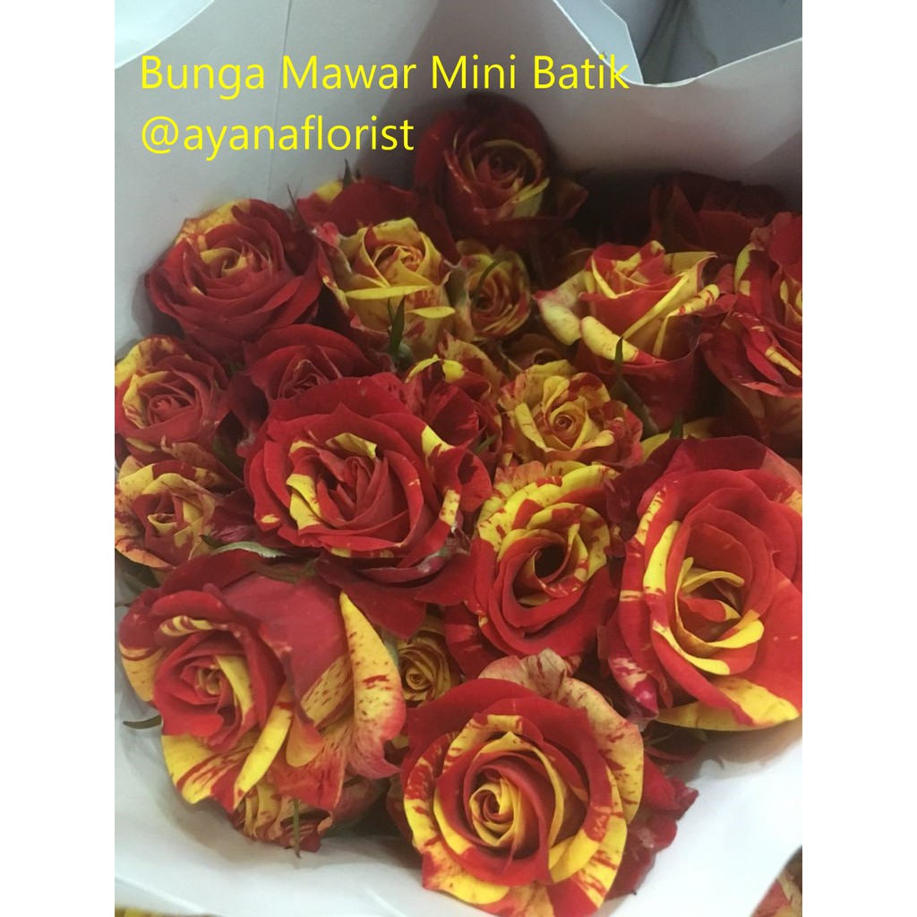 Bunga Mawar Malang Asli Per 20 Tangkai Shopee Indonesia