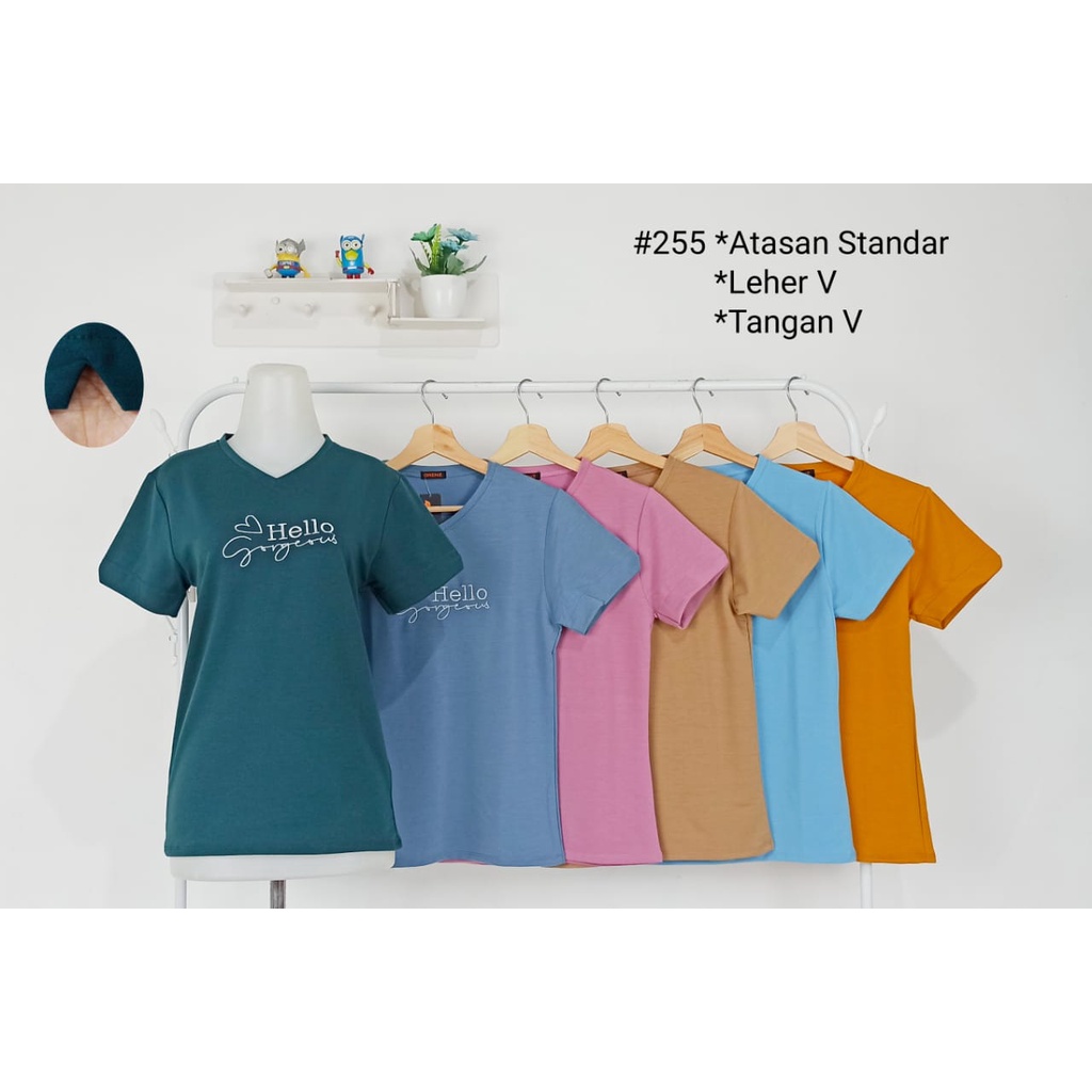 KAOS BAJU WANITA CEWEK REMAJA LENGAN PENDEK V NECK LEHER V BORDIR MERK ORENZ BABYTERRY MURAH TEBAL