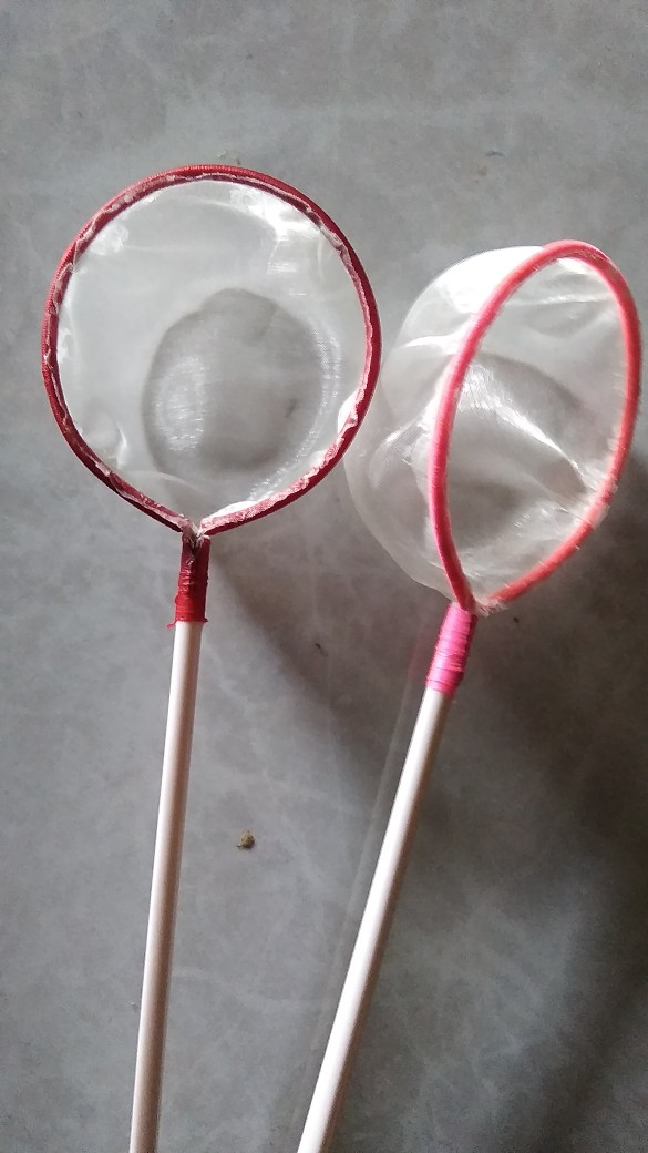 Serok Kutir Dan Cupang