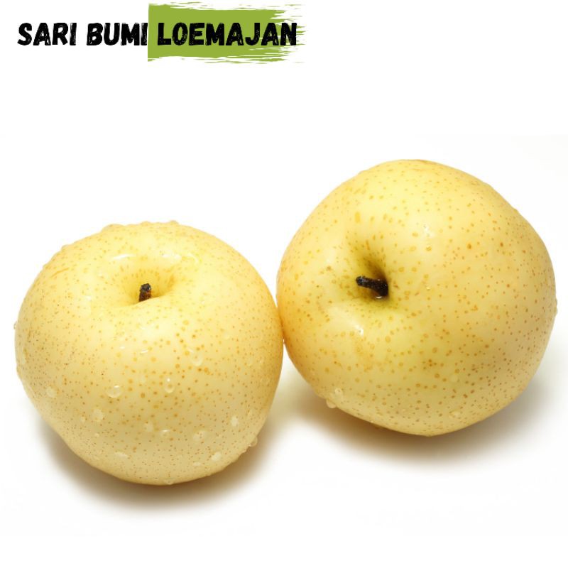

sari bumi loemajan buah pear sweet atau sweet pear 1kg