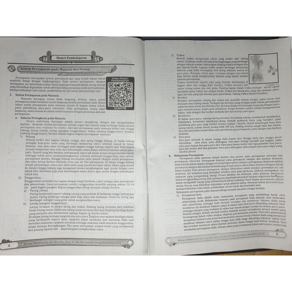 LKS BIOLOGI SMA/ MA KELAS XI 11 SEMESTER 2 2022 | BP-2