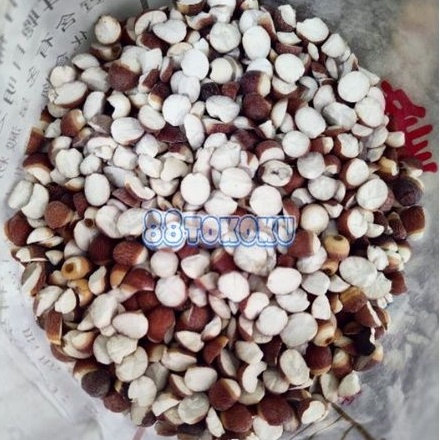 

Qian shi 芡实 fox nut kiam sip euryale seed 100 gram