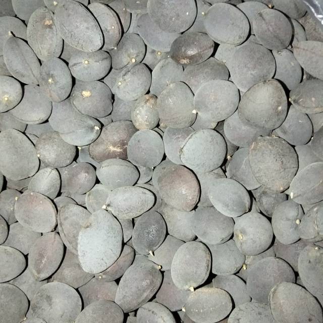 Asam ranji / asam kranji 1kg