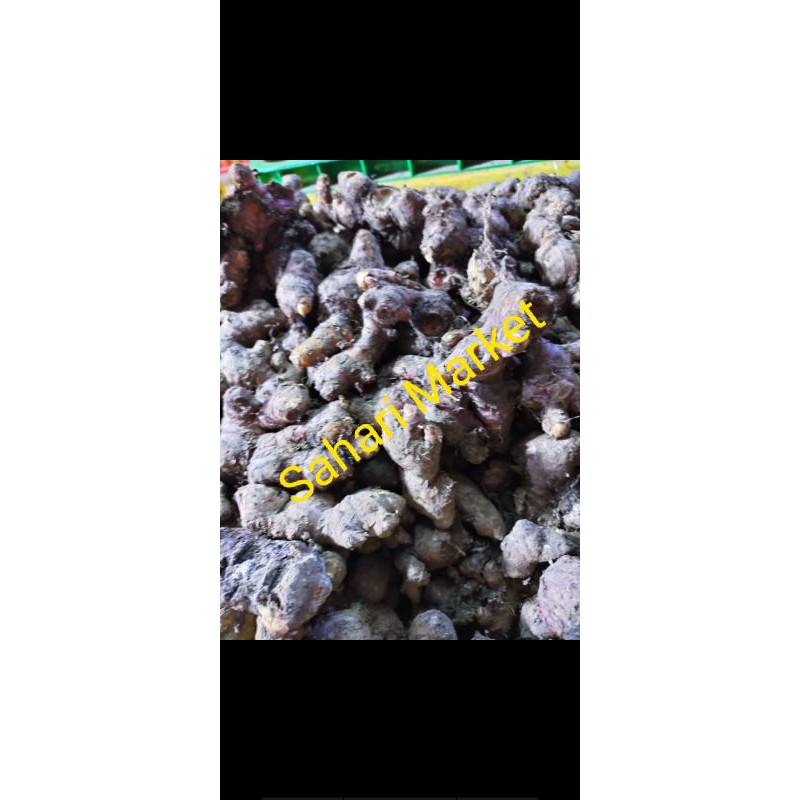 

Jahe Merah Medan 1kg