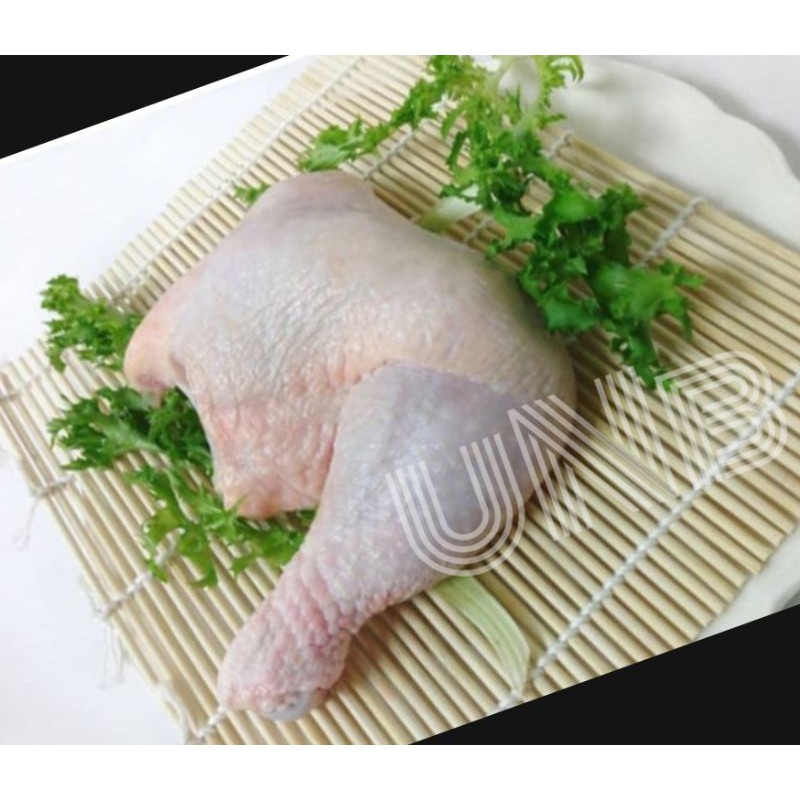 PAHA AYAM KARKAS / PAHA AYAM UTUH / PAHA AYAM ATAS BAWAH