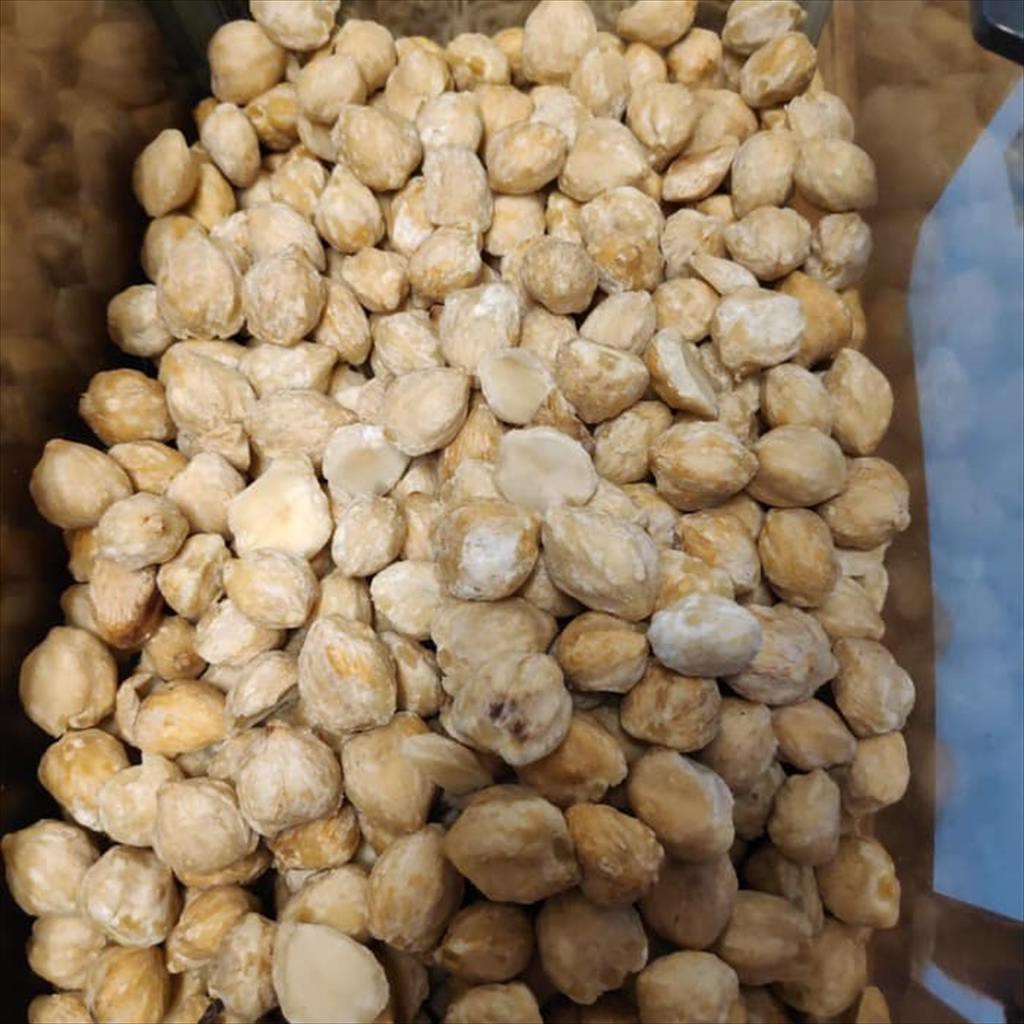 

Kemiri 250 Gram