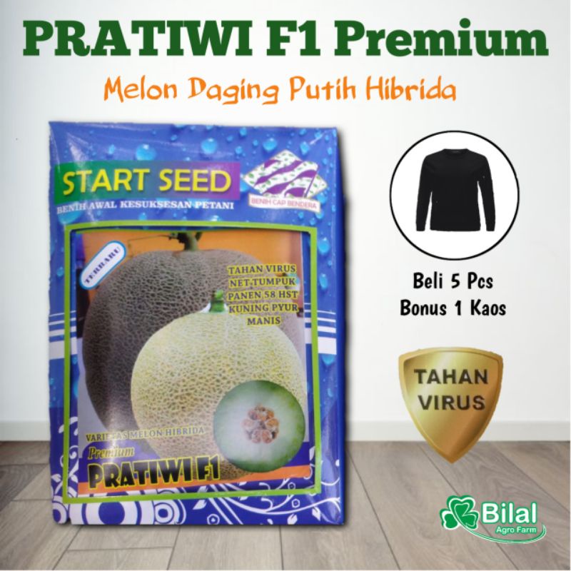 Benih Melon Pratiwi F1 Isi 600 Butir | Bibit Melon Hibrida Daging Putih Tahan Virus Start Seed