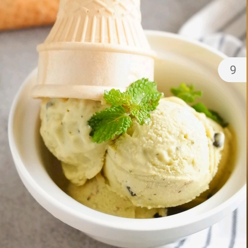 Signora Ice Cream Maker / Mesin Pembuat Es Krim &amp; Yogurt