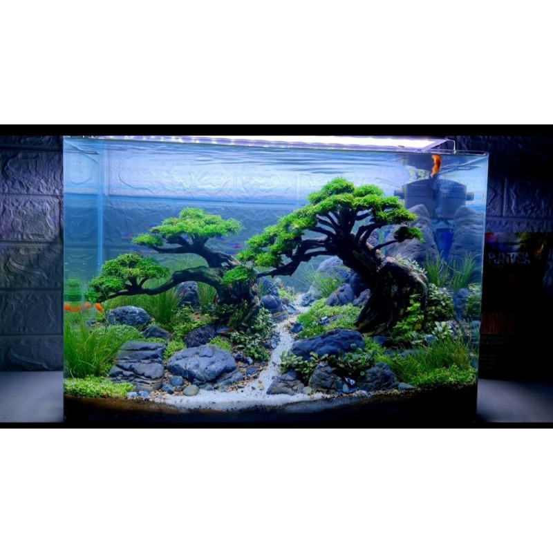 BONSAI AQUASCAPE (BONUS MOSS)