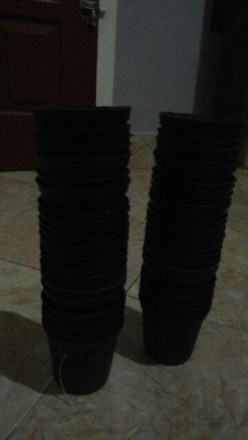Paket Sekulen 50 Pcs