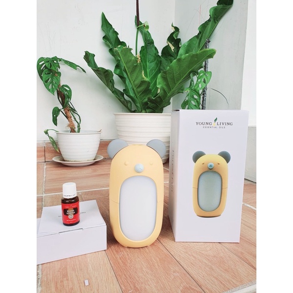 Diffuser aromatherapy