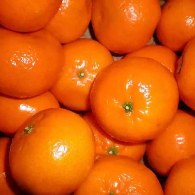 

buah jeruuk segar 1kg