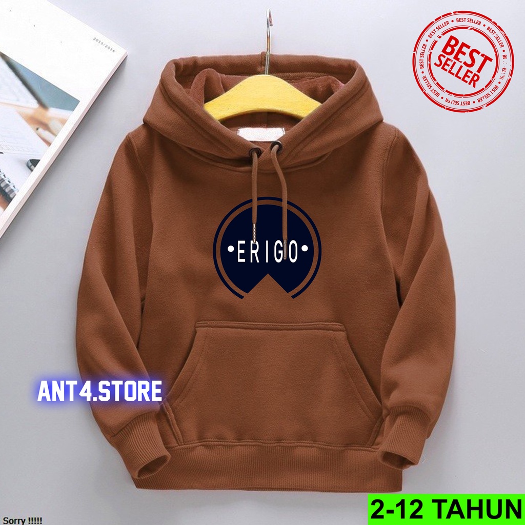 Hoodie Anak Laki Laki Perempuan / Jaket Anak BEST SELLER  Anak Usia 2 - 12 Tahun / Sweater TERBARU Anak Cewek Cowok  Switer Distro