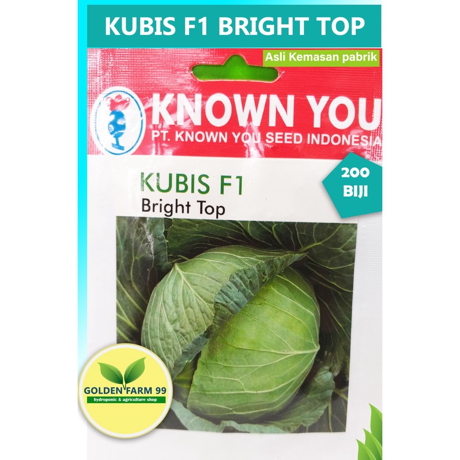 Stok Baru Benih KUBIS F1 Bright Top Known You Seed - Original pack