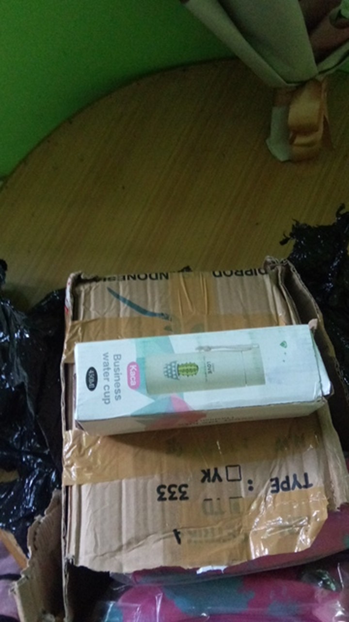 Botol Minum Kaktus Botol Minum Kaca