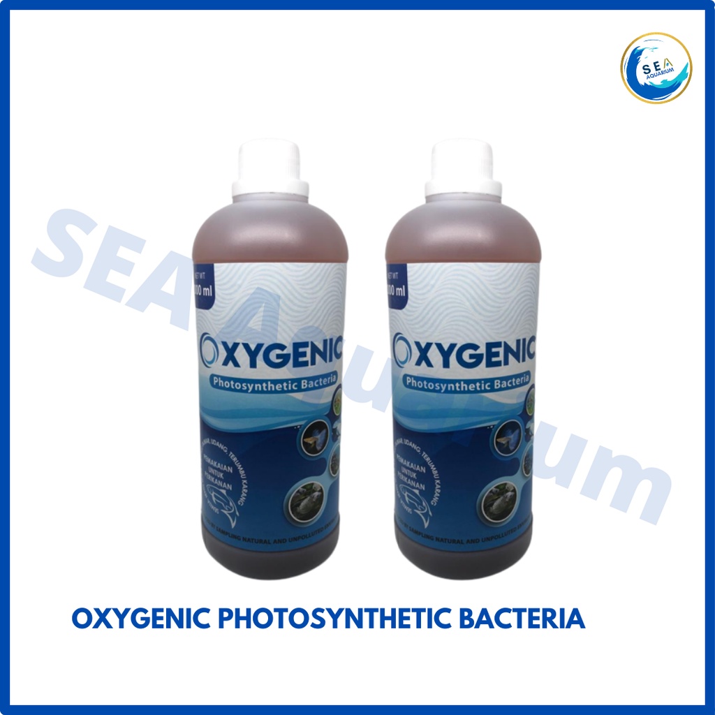 Oxygenic Probiotic 1 Liter Kolam Aquarium Bakteri Fotosintesis